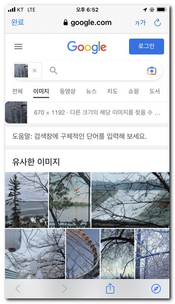 구글에서 찾고자 하는 꽃과 유사한 이미지를 찾아준다