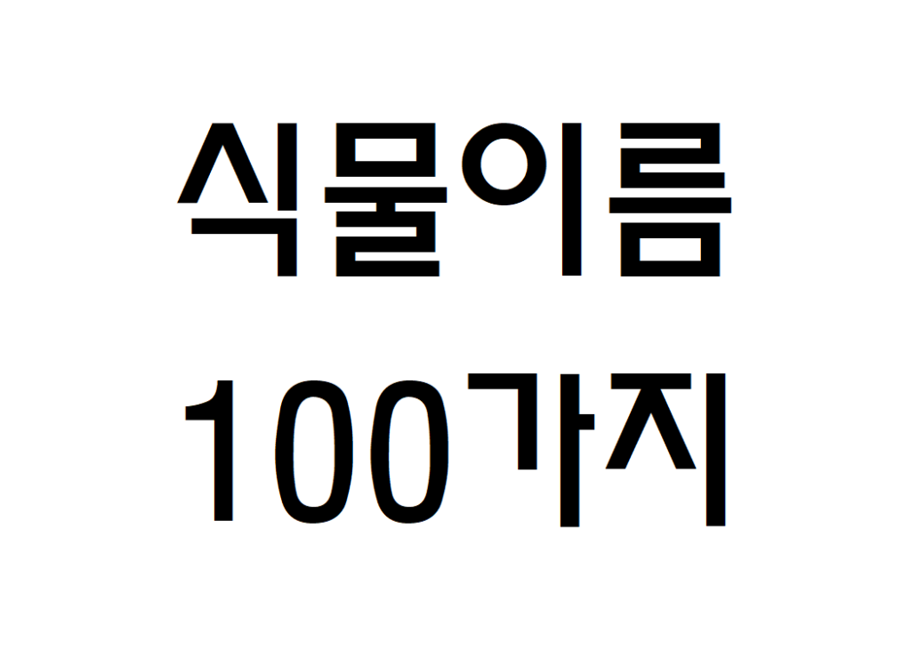 식물이름 100가지 종류 알아보기